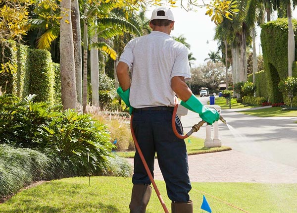 About Longboat Key FL Pest Control Pros